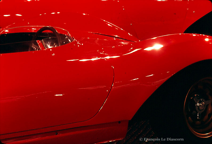 Hommage à Ferrari - Fondation Cartier pour l'Art Contemporain © François Le Diascorn (3)